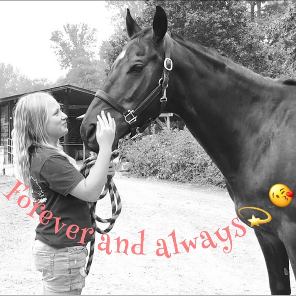 Meet your Posher, Gracie